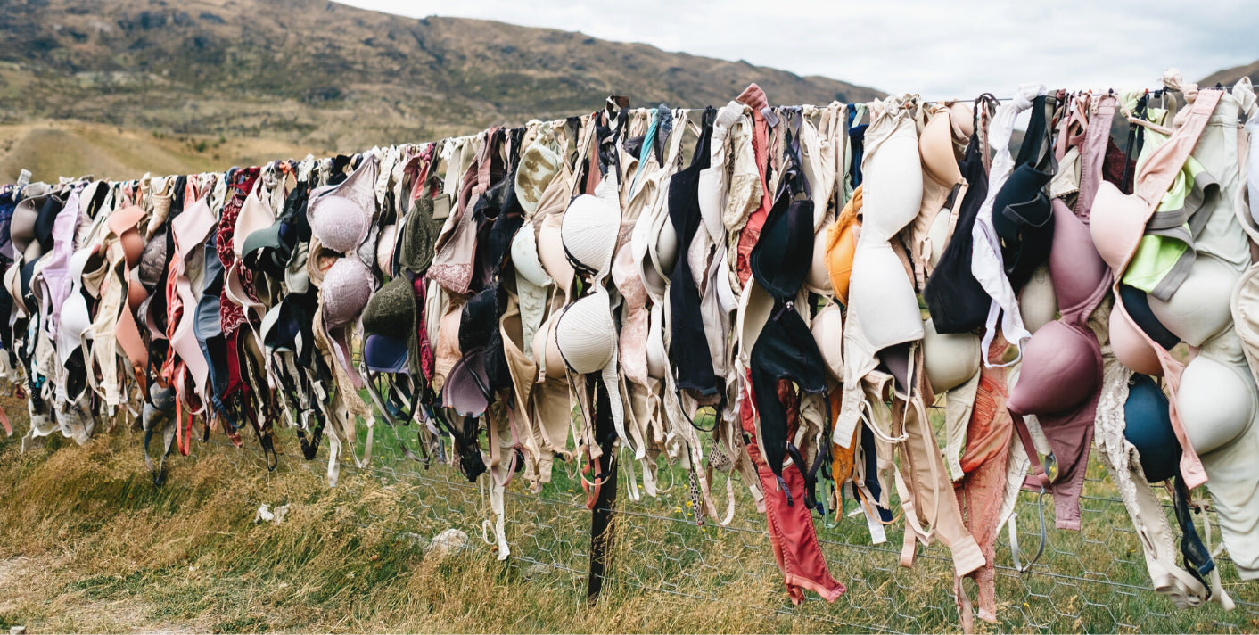 Dozens of various bras hanging from a rope