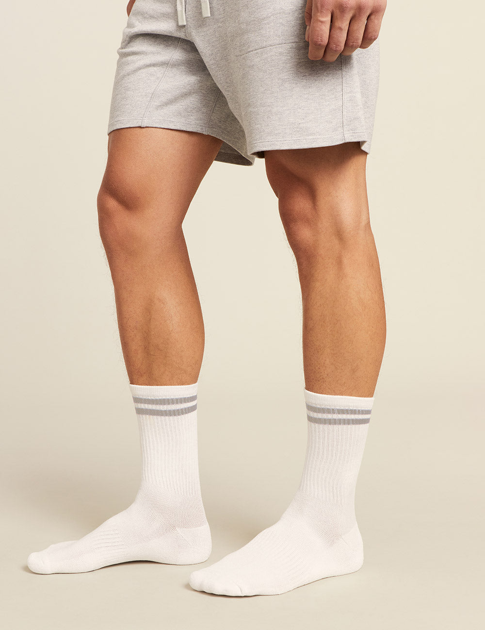 Men_s-Striped-Cushioned-Crew-Socks-White-w-Grey-Side.jpg